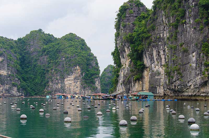 13 - Vietnam - Bahia de Halong - pueblo flotante